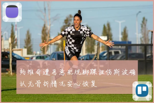 约维奇遭恶意犯规脚踝扭伤斯波确认无骨折情况安心恢复