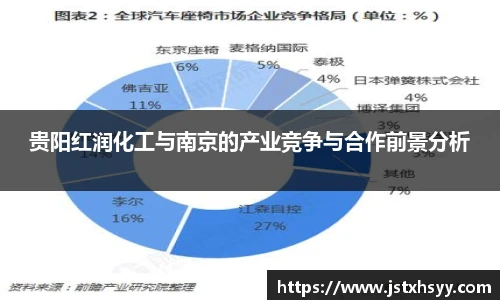 贵阳红润化工与南京的产业竞争与合作前景分析